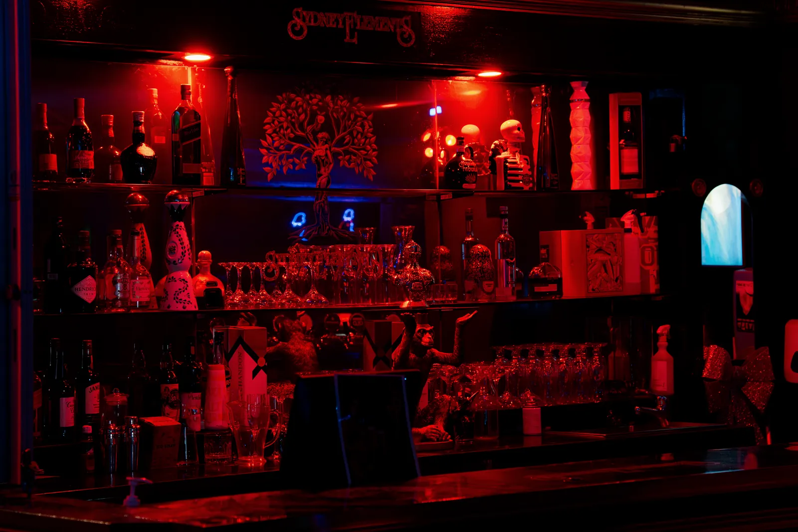 The back bar with the Sydney Elements sign