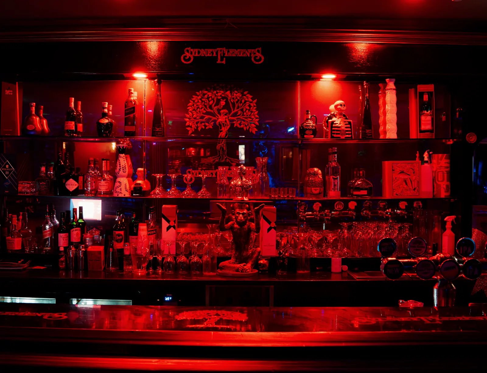 The back bar shelves and the tree emblem sign