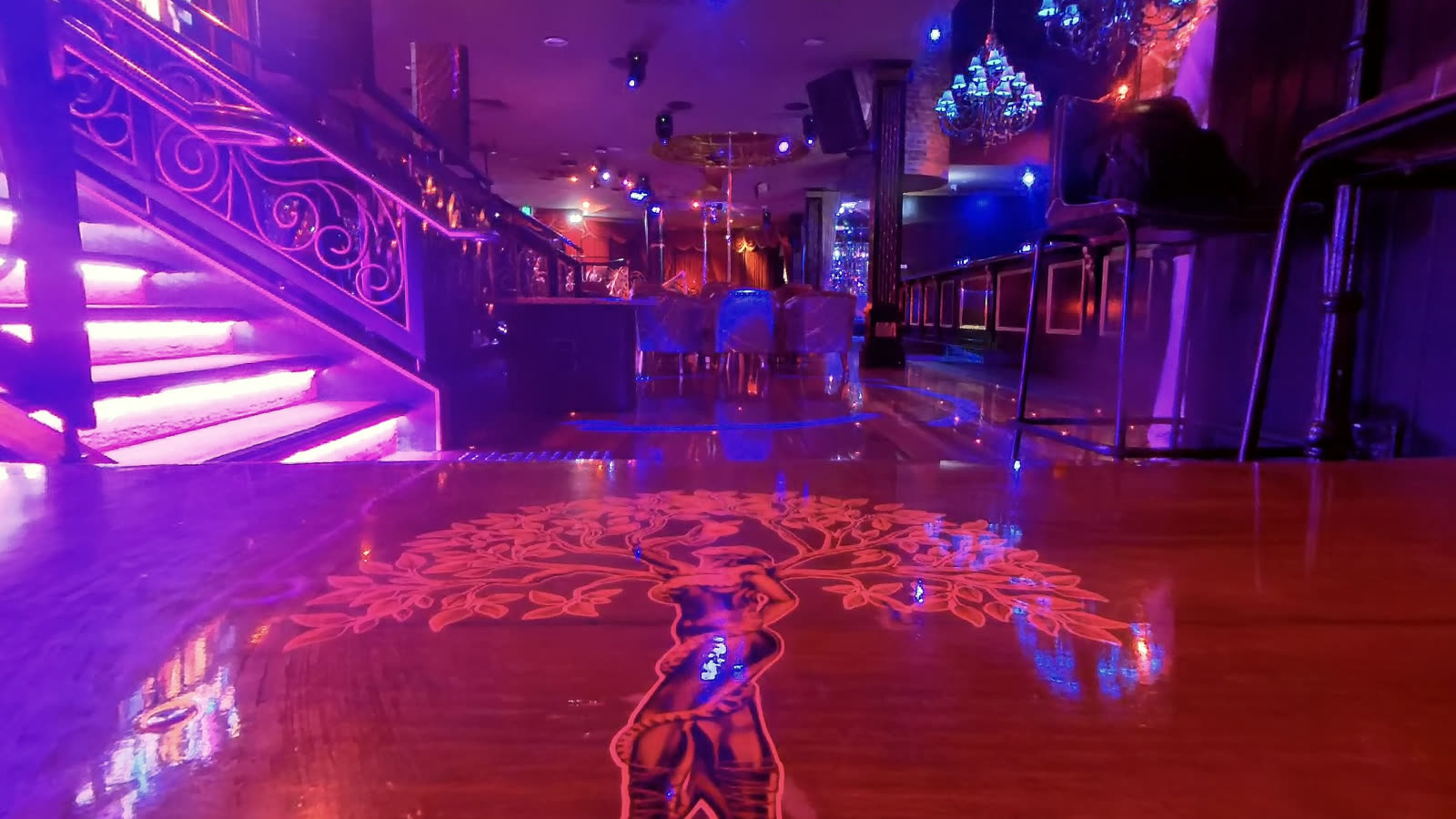 Club Chair Lounge at Sydney Elements